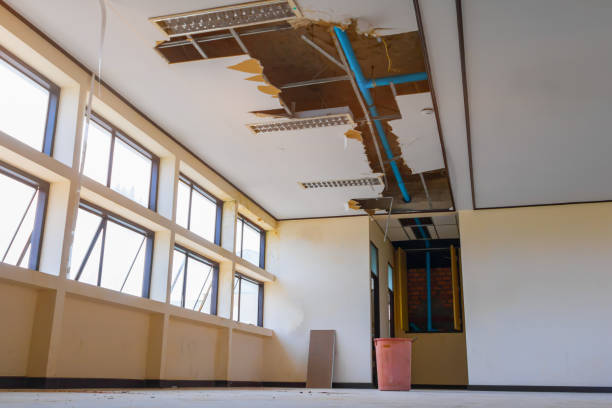 Best Water damage cleanup near me  in Starbuck, MN