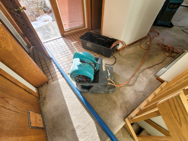 Best Commercial water damage restoration  in Starbuck, MN