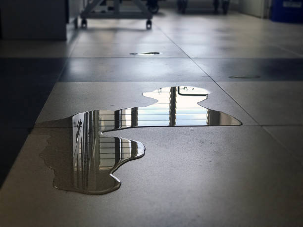 Best Local water damage restoration  in Starbuck, MN