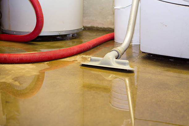 Best Carpet water damage restoration  in Starbuck, MN
