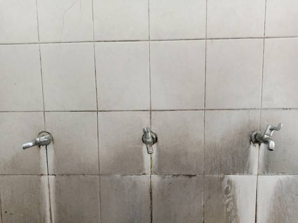 Best Commercial water damage restoration  in Starbuck, MN