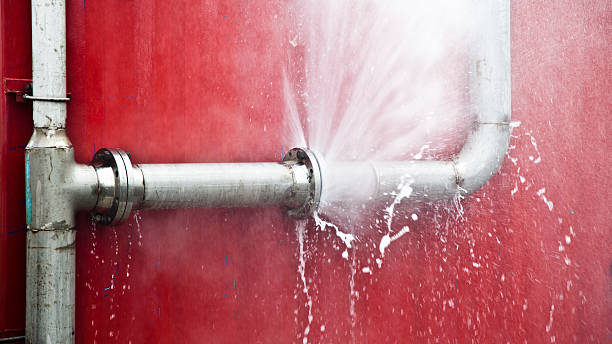 Best Professional water damage repair  in Starbuck, MN