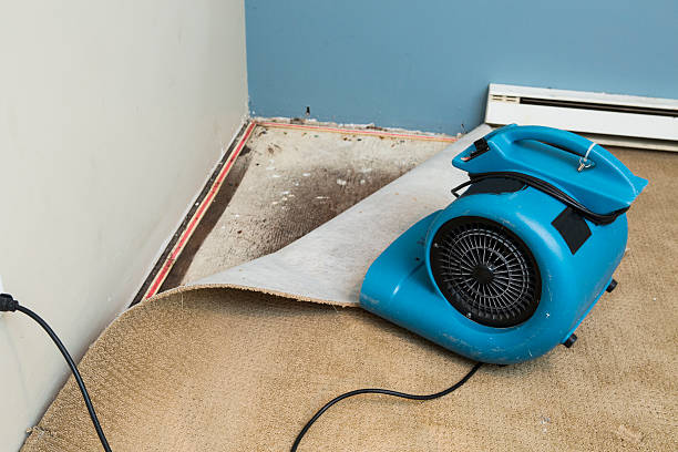 Best Residential water damage restoration  in Starbuck, MN